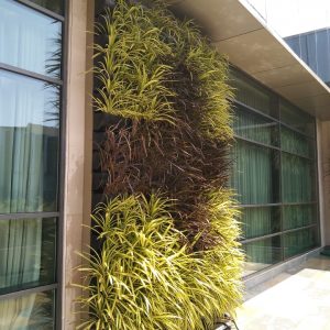 3edc8c31-9237-432f-93c7-0f3a1599083d