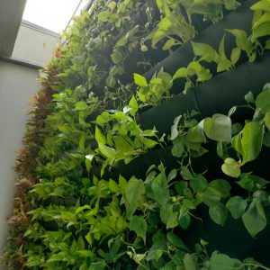 77f5858f-0887-42b9-9323-c7fe1dda2bb6