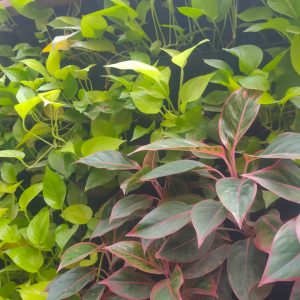 82bfb19e-edf2-4422-a3dd-76285991bec2