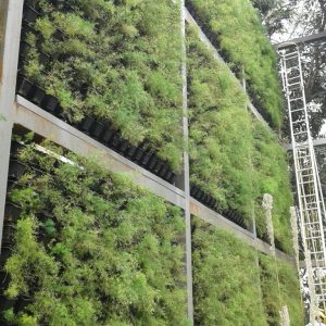 a83c3ac4-d8eb-41ff-8b53-70fbcd113852