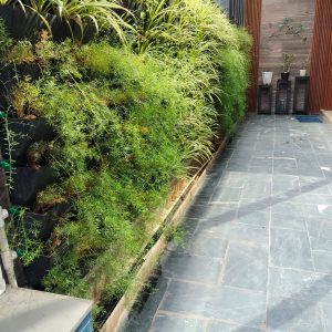 c5ae61c8-59c5-4acf-bdfe-177ed888bd5f