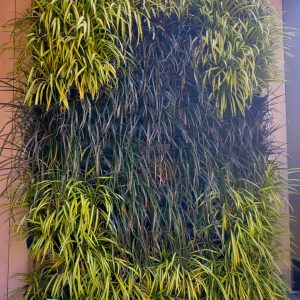 d2daa2bc-7e56-4967-a39a-7baf015f77a8