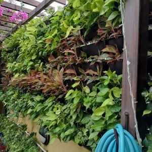 e80ca5e0-3fed-4140-99cb-e9d4f07a40c9